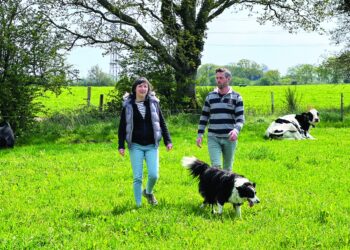 La Ferme Lait Prés Verts veut faire découvrir l’univers de la ferme au plus grand nombre