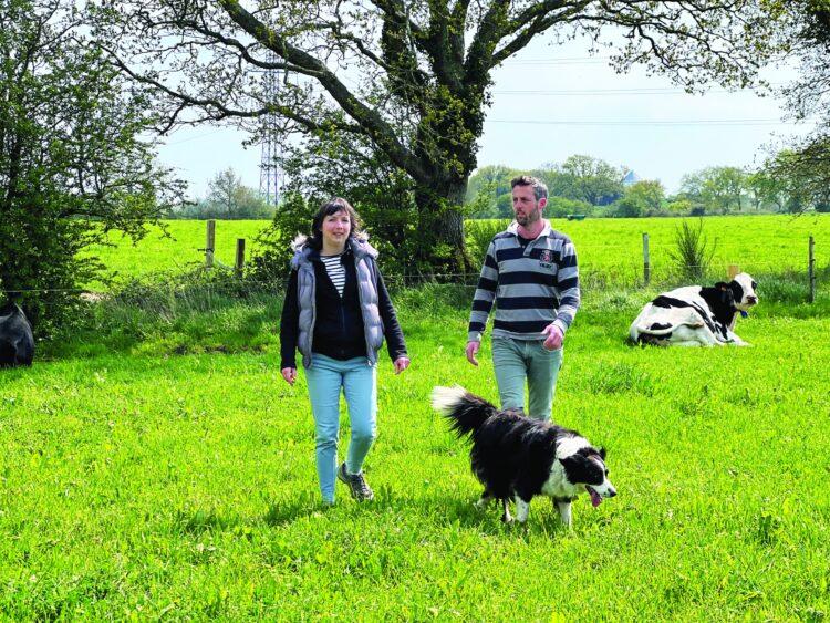 La Ferme Lait Prés Verts veut faire découvrir l’univers de la ferme au plus grand nombre
