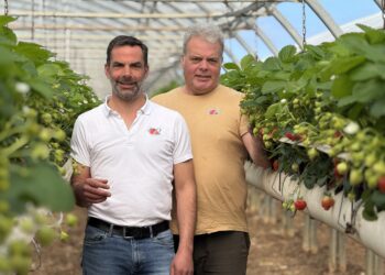 Burban Production : trois générations pour faire de la fraise de La Baule une référence gustative
