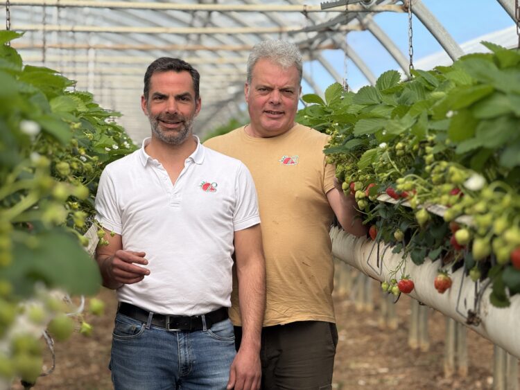 Burban Production : trois générations pour faire de la fraise de La Baule une référence gustative