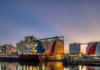 Saint-Nazaire : pourquoi Cargill investit 150 millions de dollars dans le tournesol ?