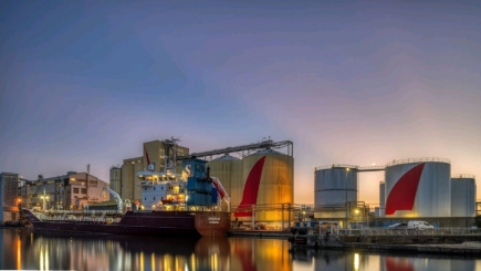 Saint-Nazaire : pourquoi Cargill investit 150 millions de dollars dans le tournesol ?